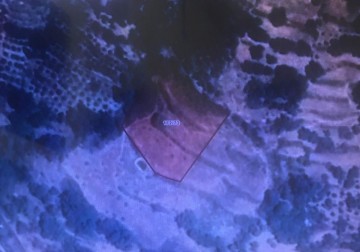 Alanya  Bademağacın'da   Satılık  Arsa