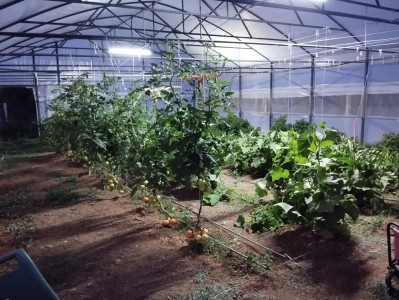 Antalya Korkutelinde Seralı Tek Katlı Satılık Villa